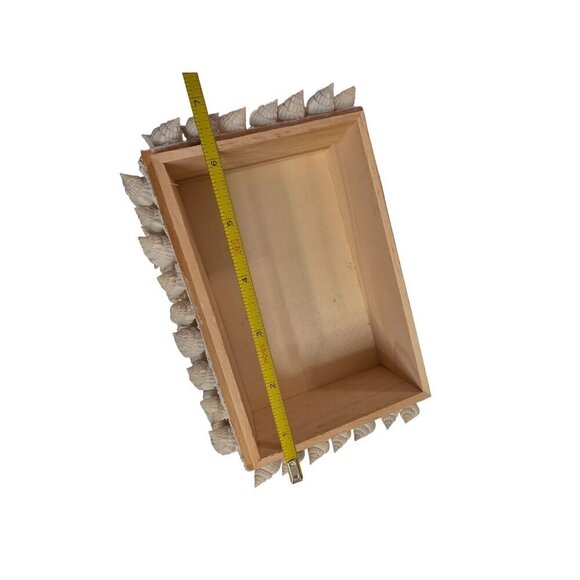 Handmade Wooden Box With Seashells & Sea Urchins Decorative Lid - Picture 13 of 14